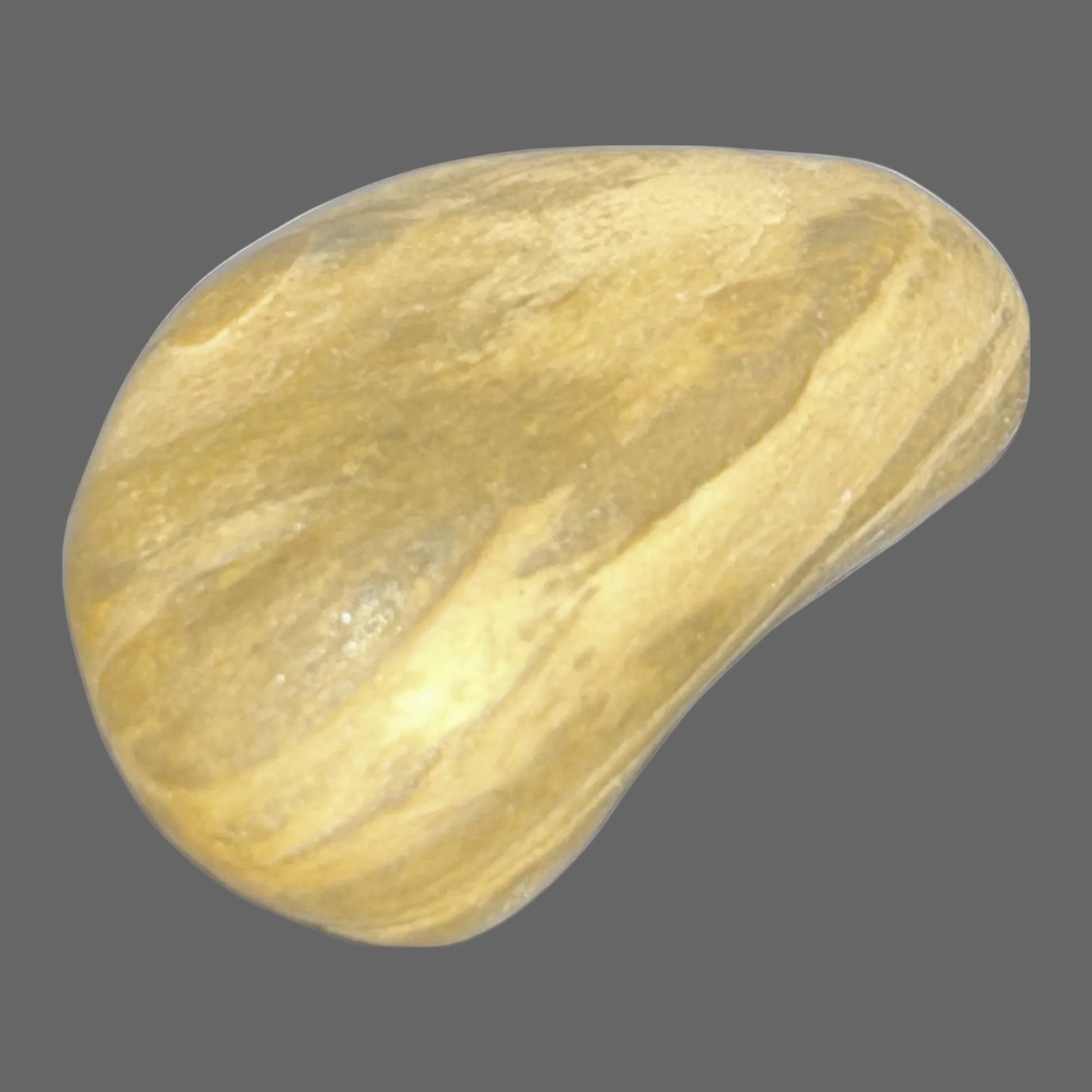 Petrified Wood Worry Stone — Polished Fossil Touchstone, Earth Tones, 33g — detail view