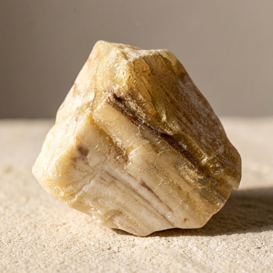 Petrified Wood Specimen — Fossilized Ancient Timber, Grain Detail Visible, 28g — main view