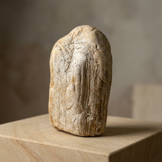Petrified Wood Specimen — Grain Pattern Preserved in Stone, 266g — main view