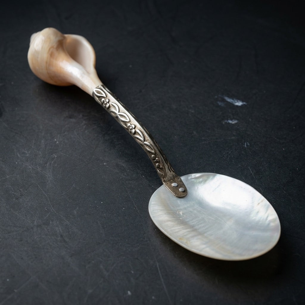 Antique Mother of Pearl and Conch Shell Serving Spoon — main view