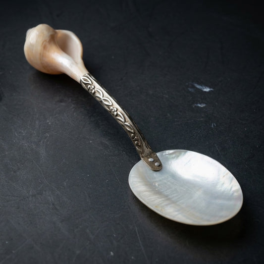 Antique Mother of Pearl and Conch Shell Serving Spoon — main view