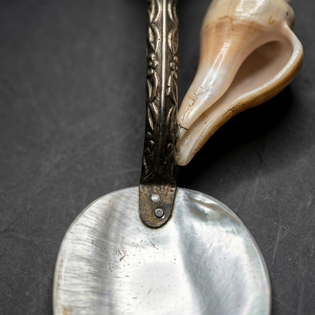 Antique Mother of Pearl and Conch Shell Serving Spoon — detail view