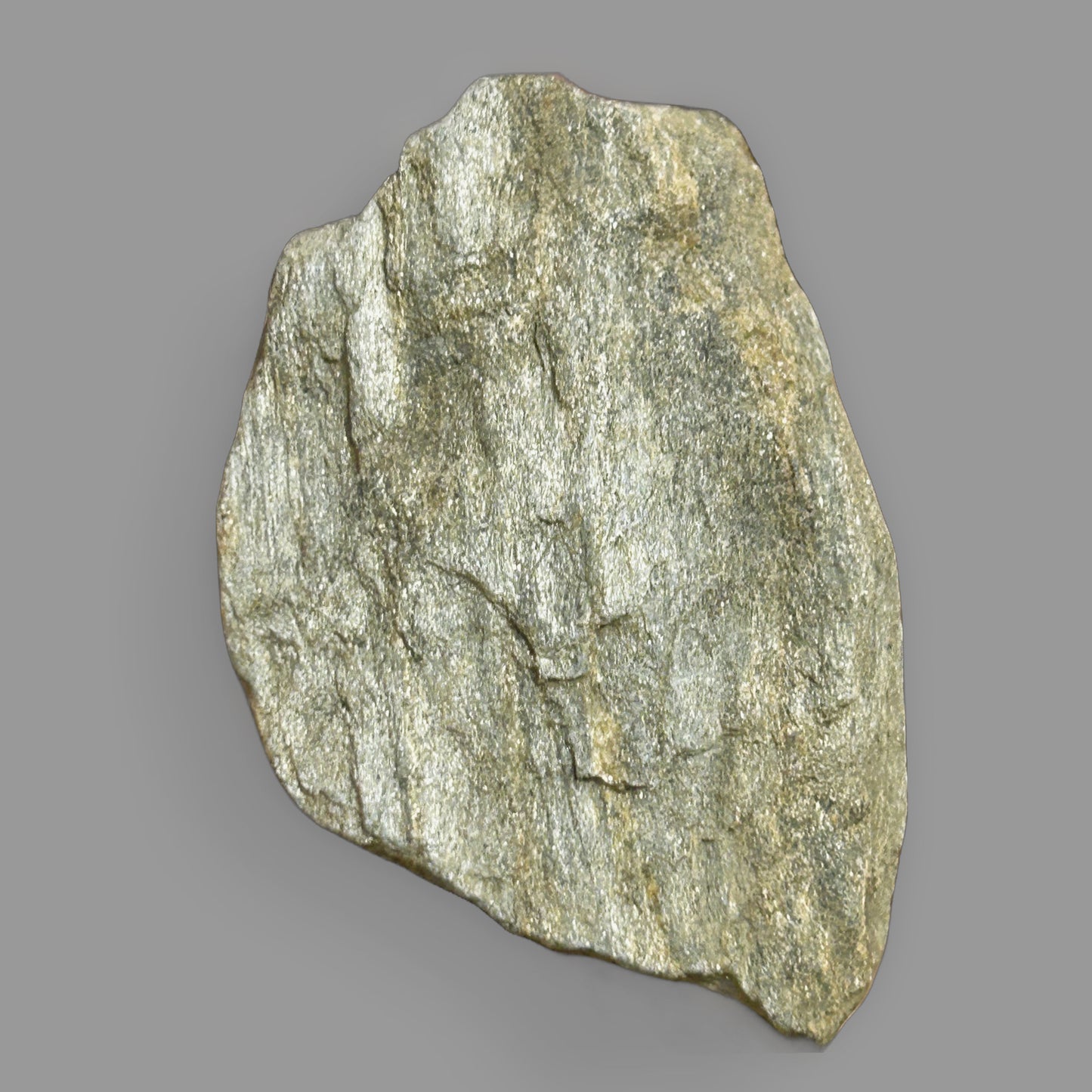 Ancient Foliated Schist — Layered Metamorphic Stone, 38g — detail view