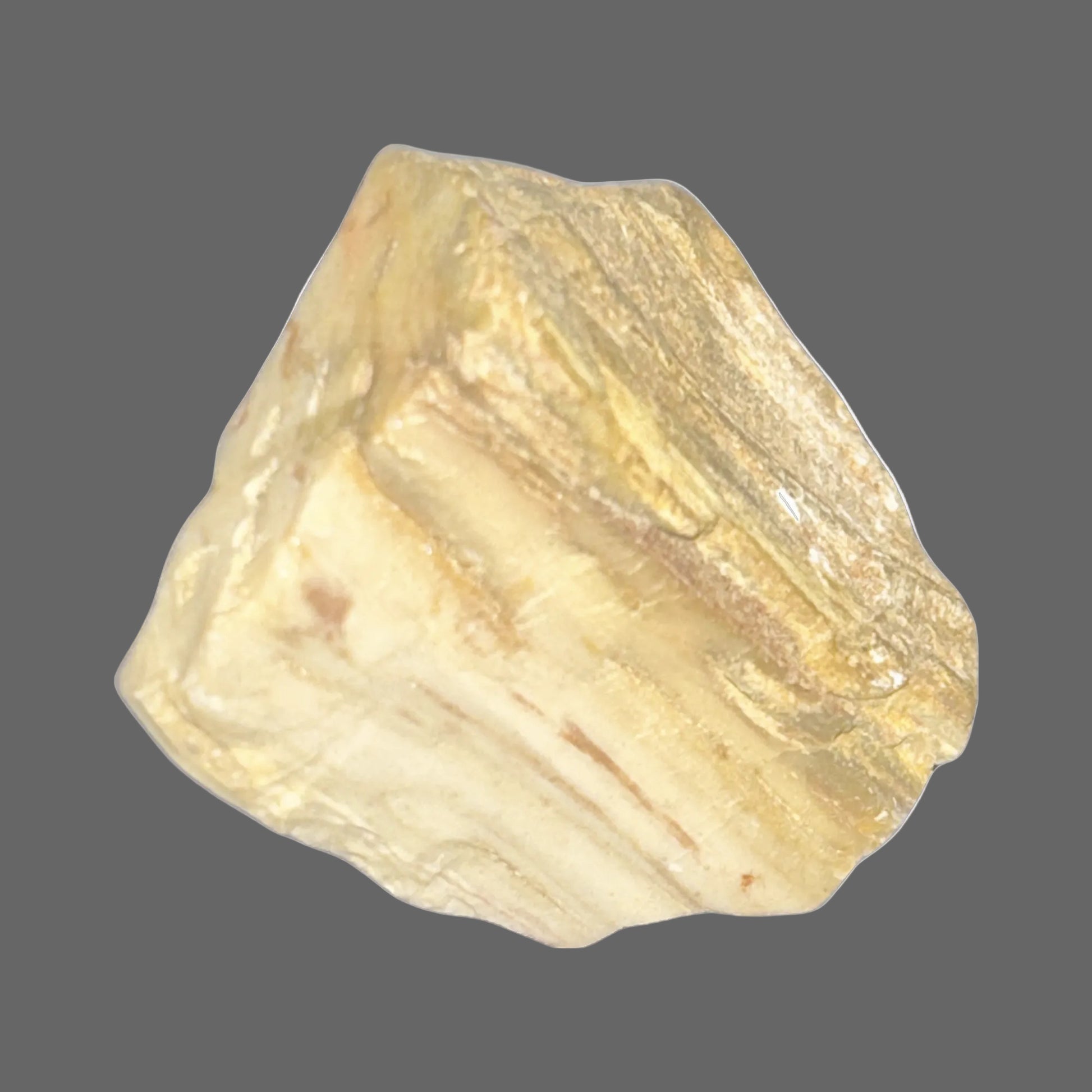 Petrified Wood Specimen — Fossilized Ancient Timber, Grain Detail Visible, 28g — detail view