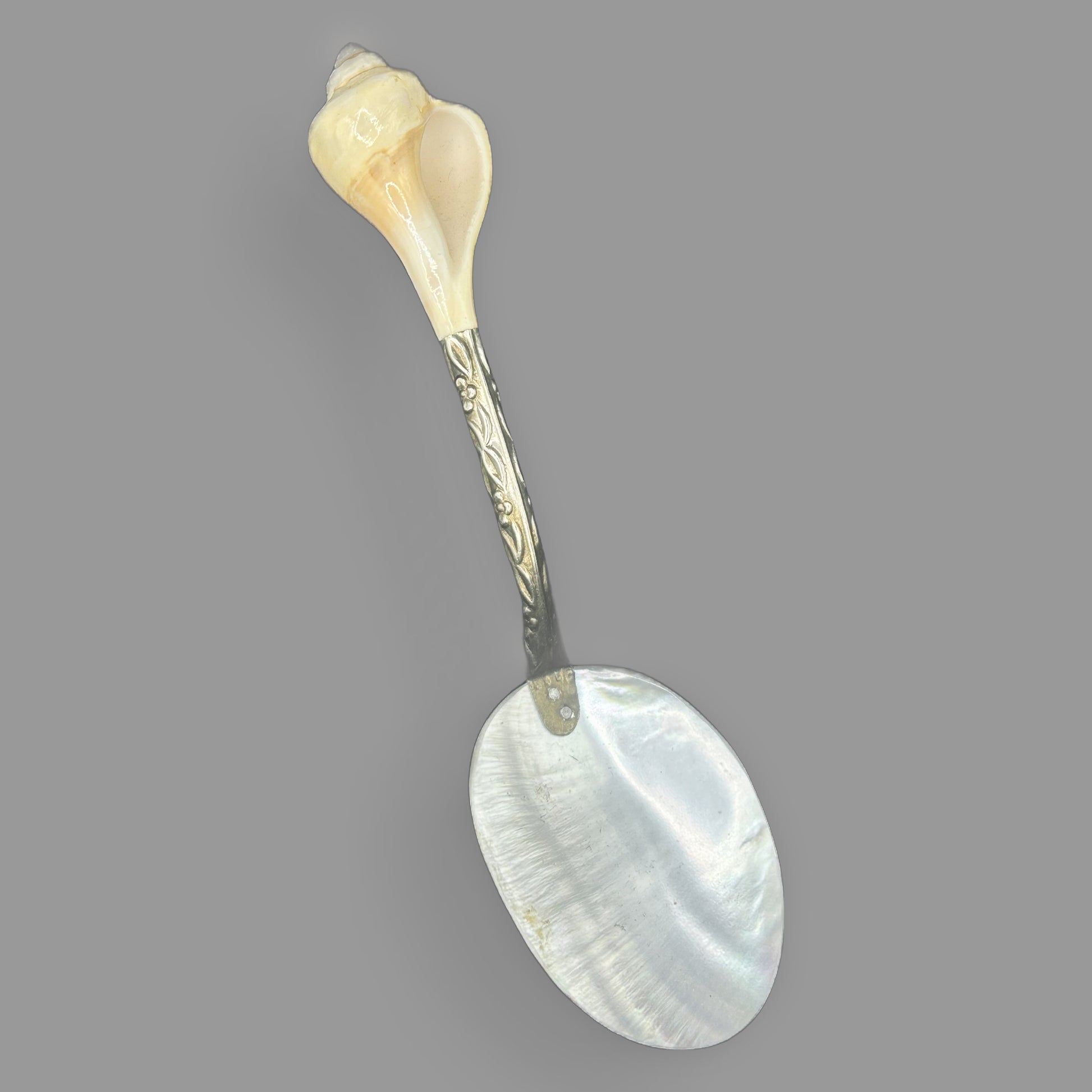 Antique Mother of Pearl and Conch Shell Serving Spoon — detail view