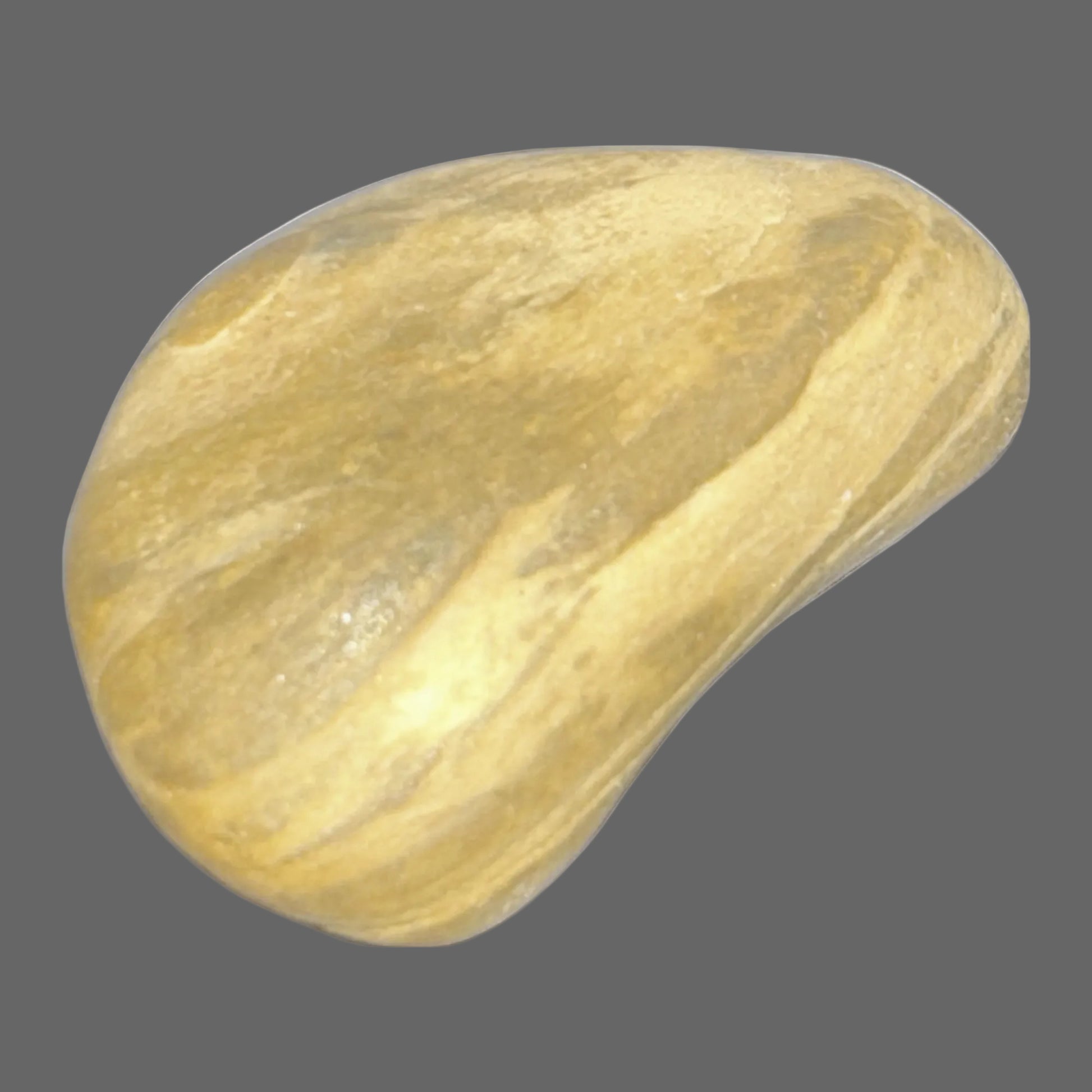 Petrified Wood Worry Stone — Polished Fossil Touchstone, Earth Tones, 33g — detail view