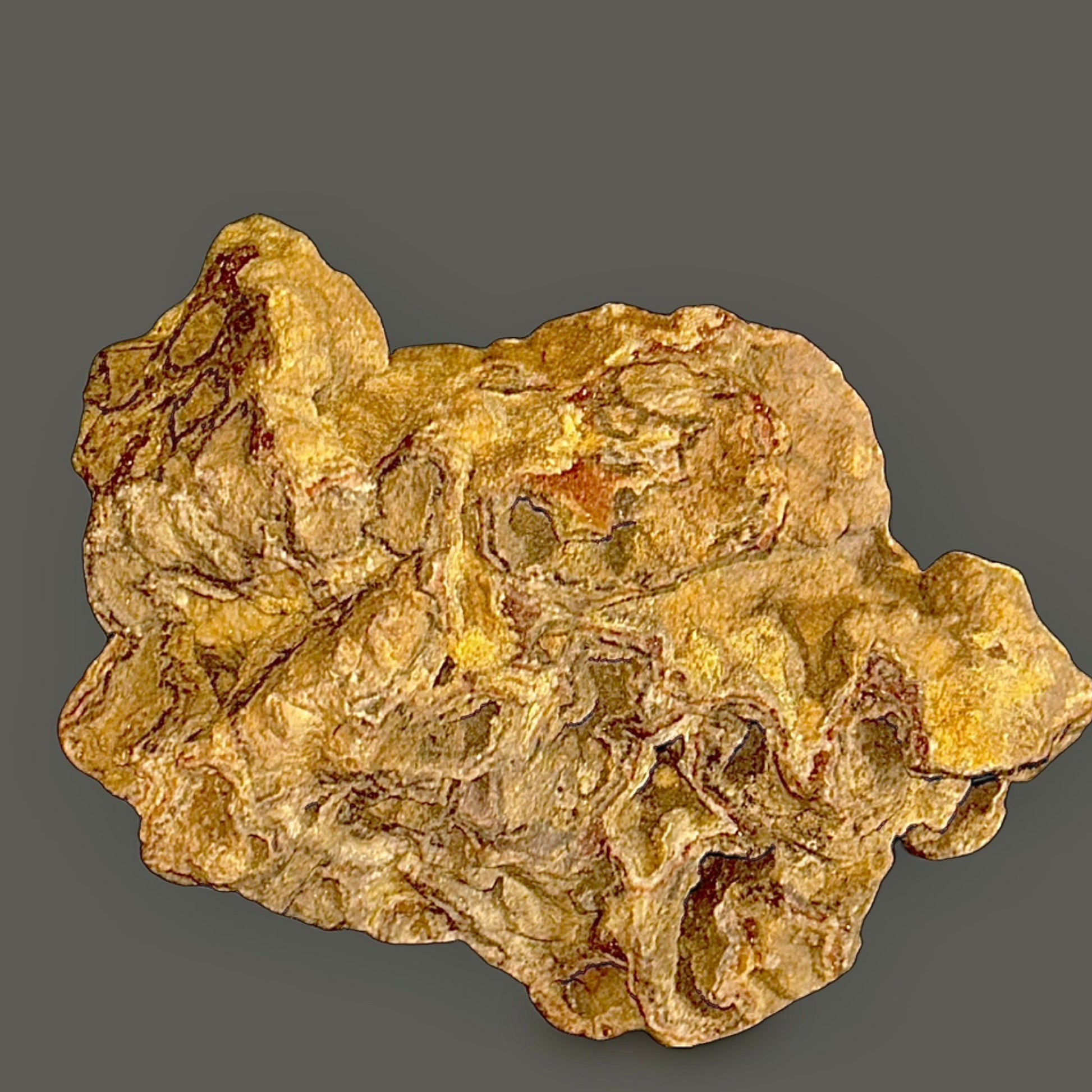 Septarian Concretion — Large Natural Nodule, Mineral-Filled Fracture Network, 1,324g (2.92 lb) — main view