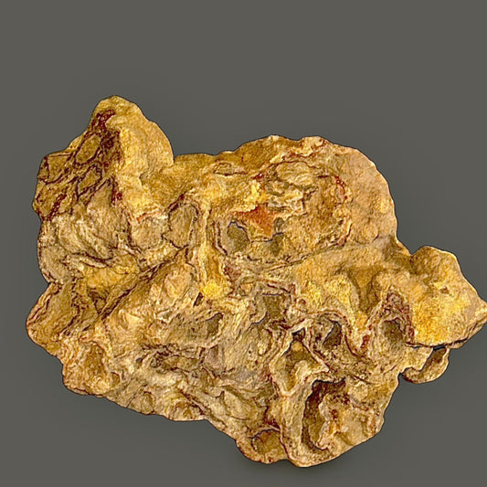 Septarian Concretion — Large Natural Nodule, Mineral-Filled Fracture Network, 1,324g (2.92 lb) — main view