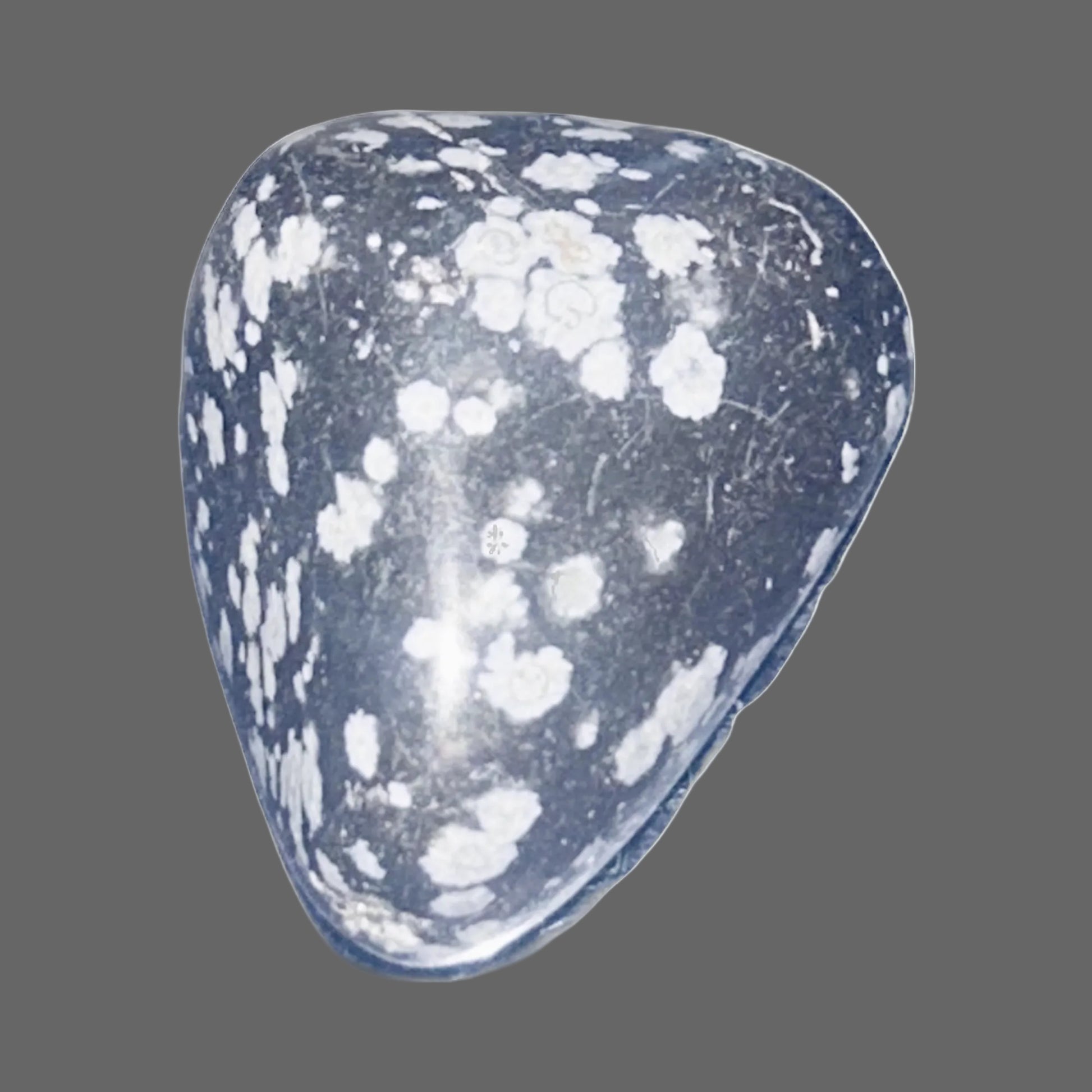 Snowflake Obsidian Specimen — Black Volcanic Glass, Cristobalite Inclusions, 11g — detail view