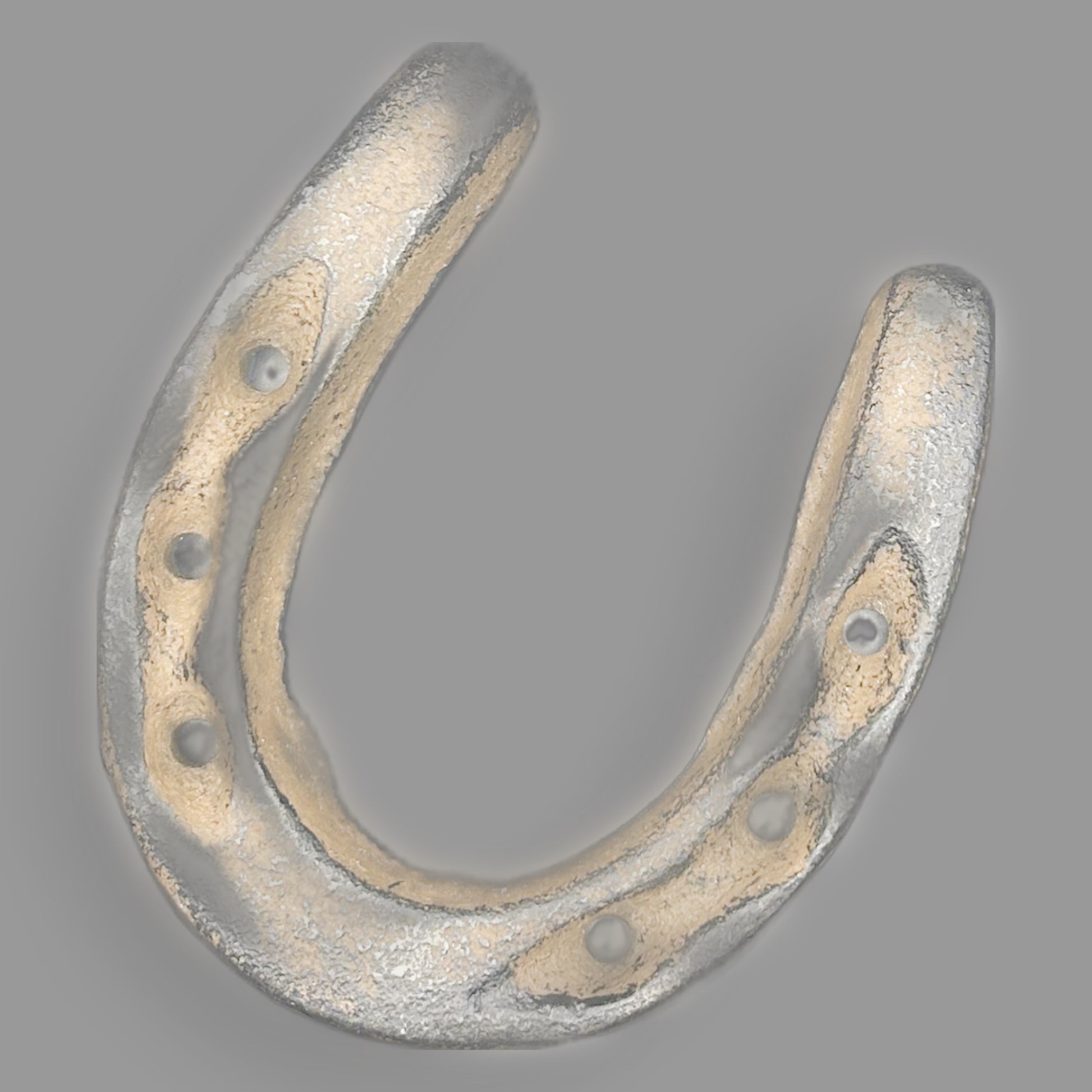 Vintage Cast Iron Horseshoe — detail view